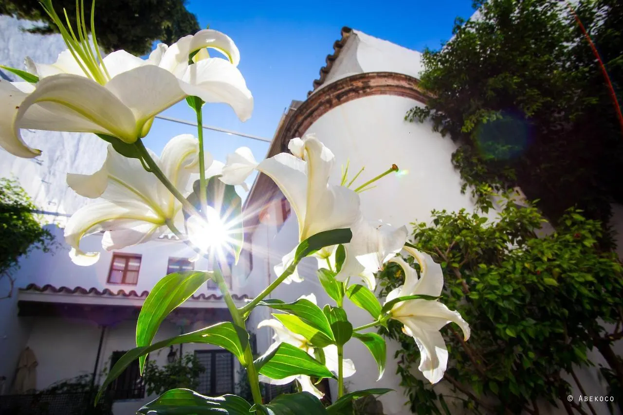 Vakantiehuis Casa Del Siglo XVII Villa Sevilla
